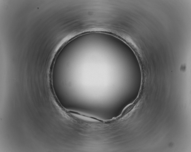 X0000096381181200802071506