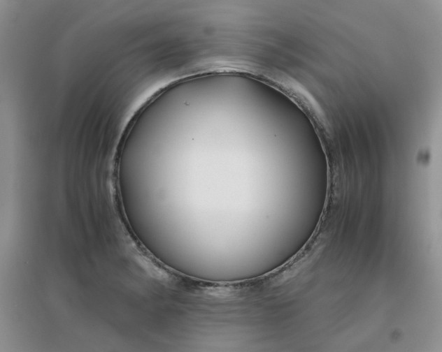 X0000096381182200802071506