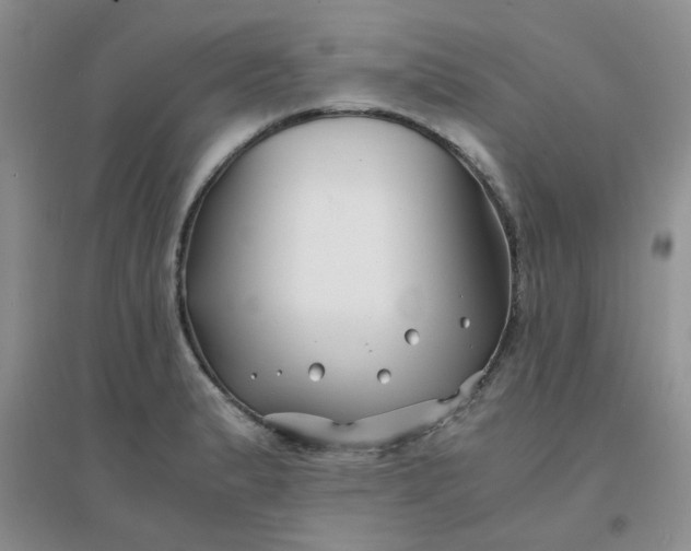 X0000096381183200802071506