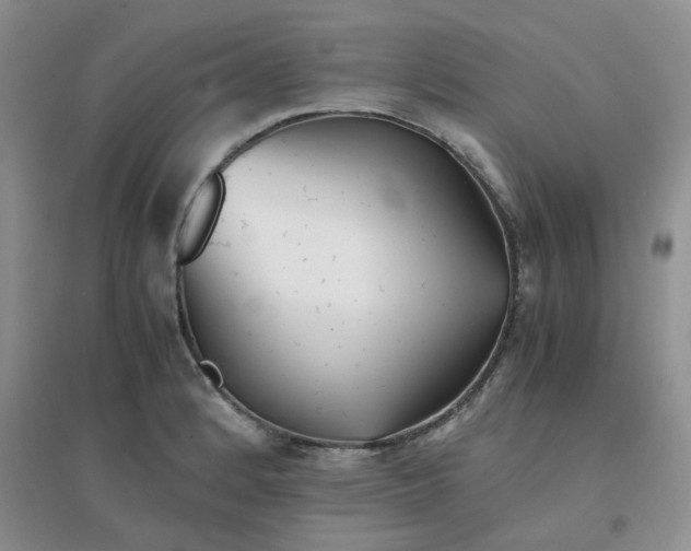 X0000096381184200802071506