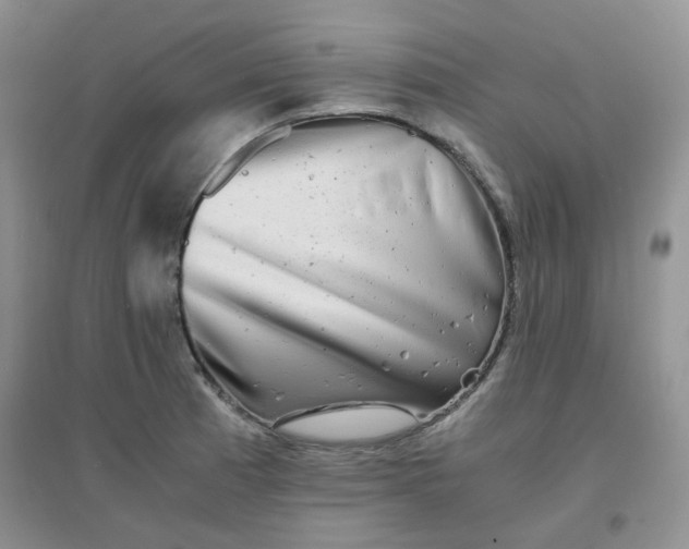 X0000096381185200802071506