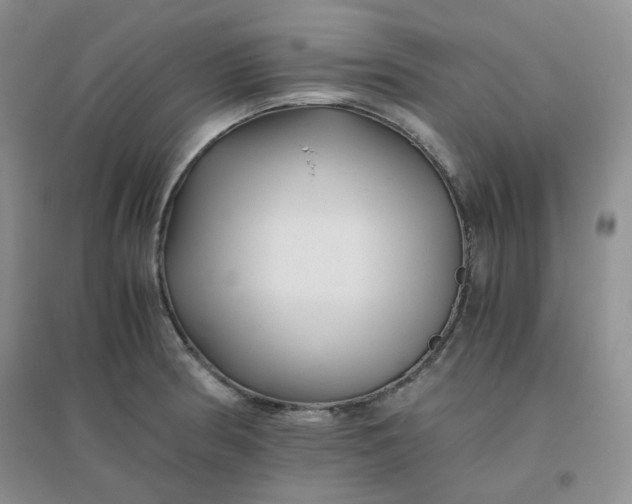 X0000096381186200802071506