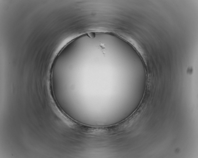 X0000096381187200802071506