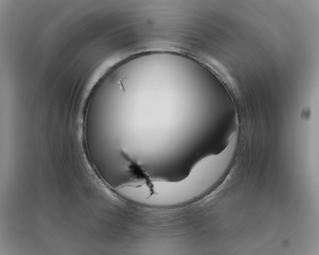 X0000096381188200802071506