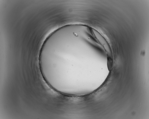 X0000096381189200802071506