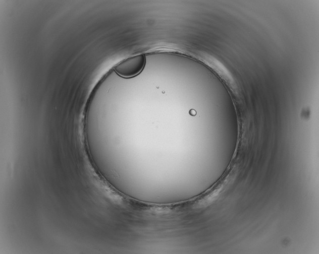 X0000096381190200802071506