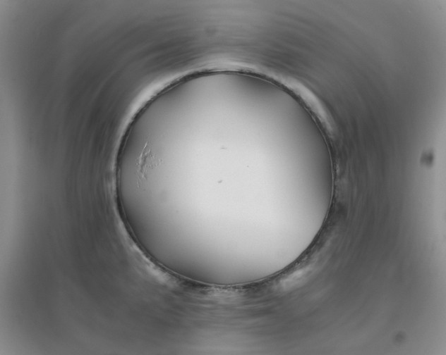 X0000096381191200802071506