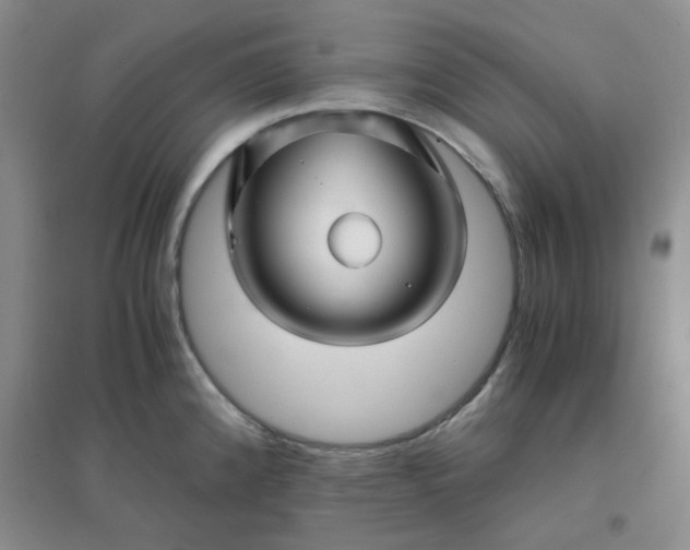 X0000096381192200802071506