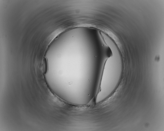 X0000096381193200802071506