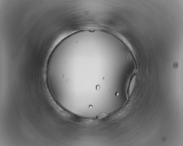 X0000096381195200802071506