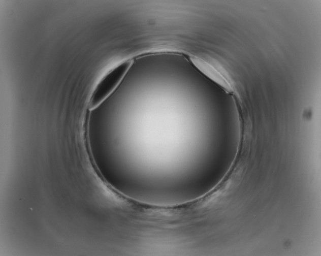 X0000096381197200802071506