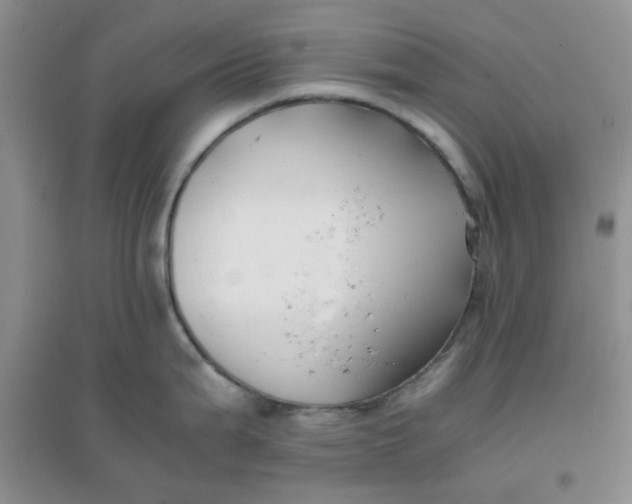 X0000096381199200802071506