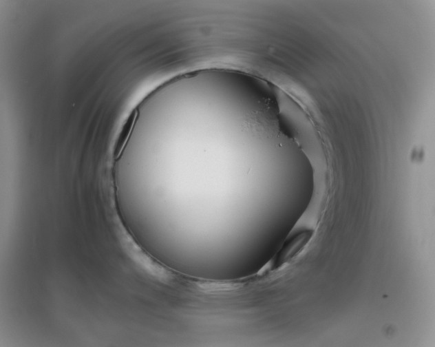 X0000096381200200802071506