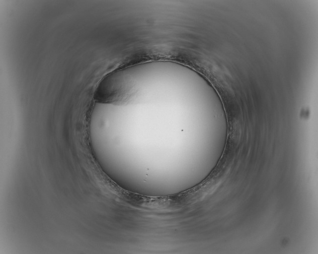 X0000096381201200802071505