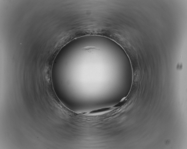 X0000096381202200802071505