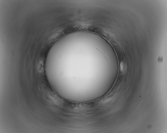 X0000096381203200802071505