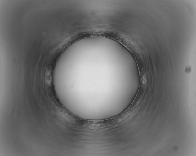 X0000096381204200802071505