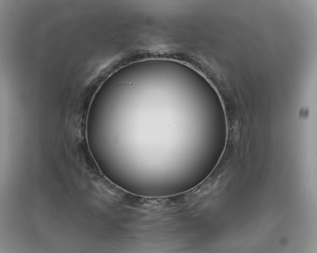 X0000096381205200802071505