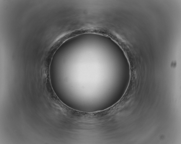 X0000096381206200802071505