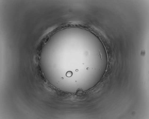 X0000096381207200802071505