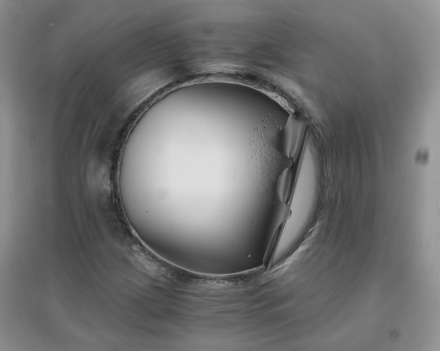 X0000096381209200802071505