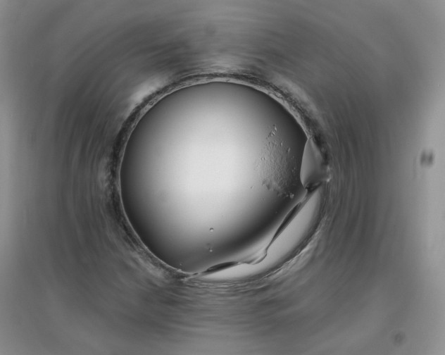 X0000096381210200802071505