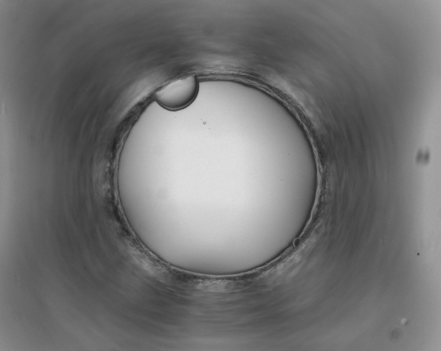 X0000096381211200802071505