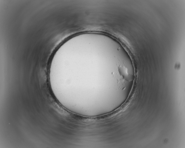 X0000096381212200802071505