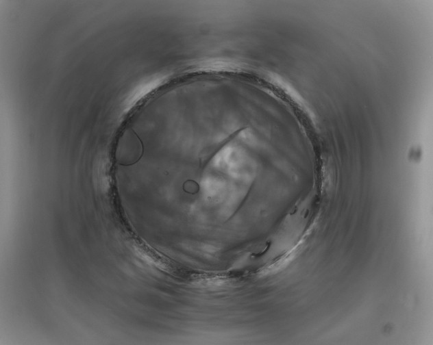 X0000096381213200802071505