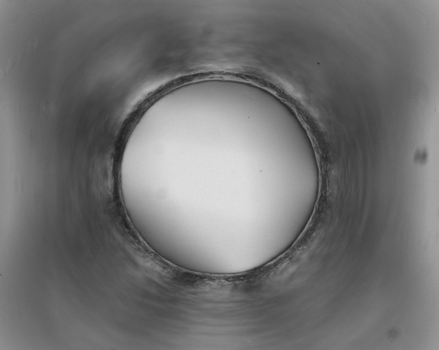 X0000096381214200802071505