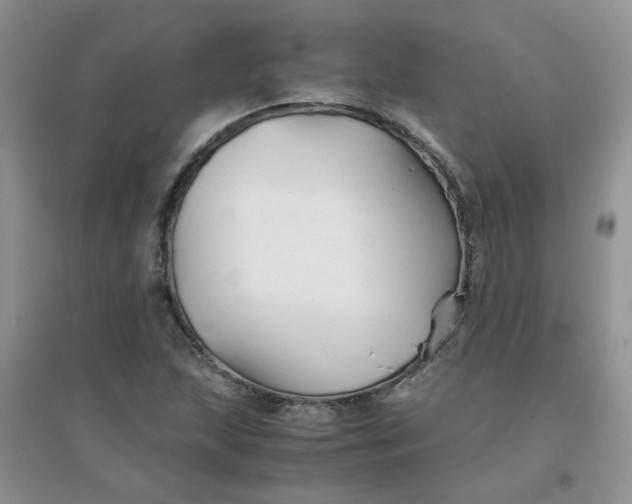 X0000096381215200802071505