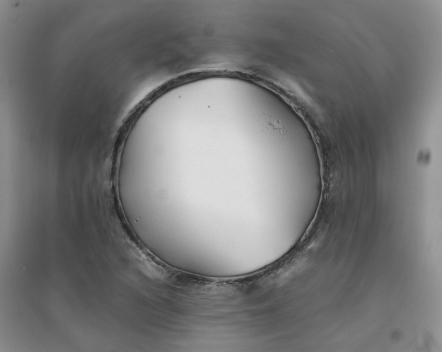 X0000096381216200802071505