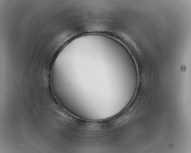 X0000096381217200802071505