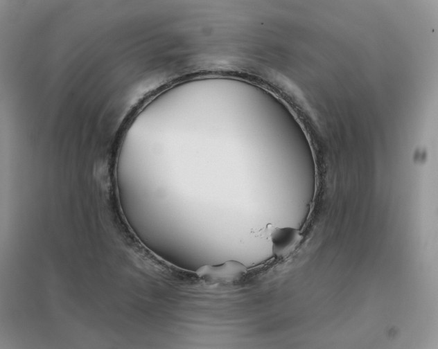 X0000096381218200802071506