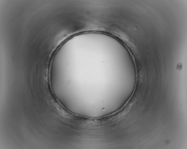 X0000096381220200802071506