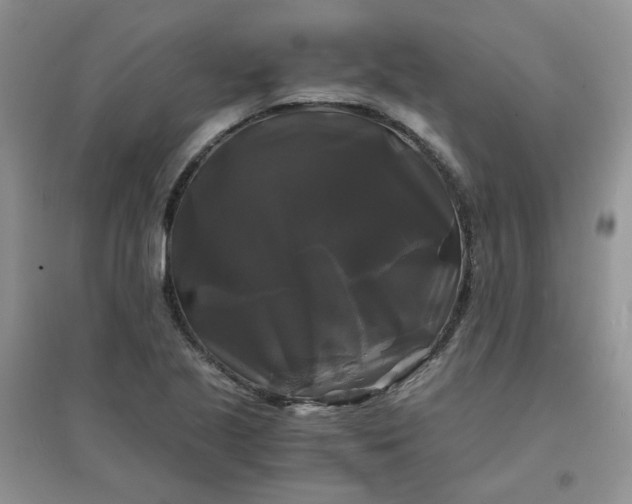 X0000096381221200802071506