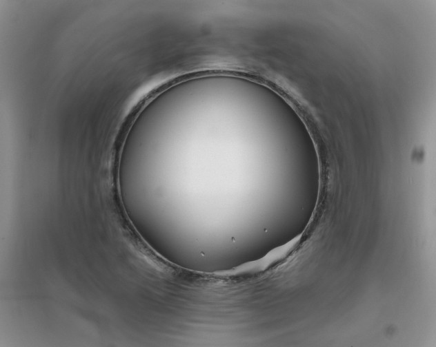 X0000096381222200802071506