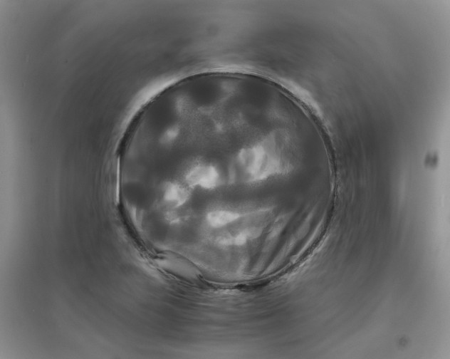 X0000096381223200802071506