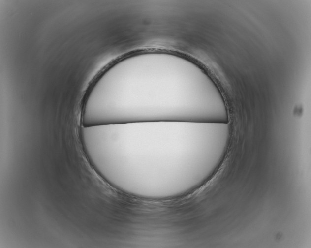 X0000096381224200802071506