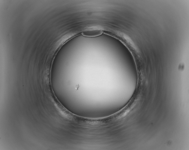 X0000096381225200802071506