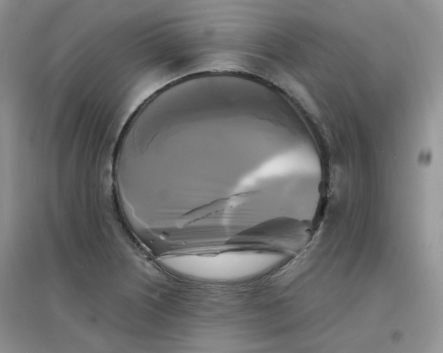 X0000096381226200802071506