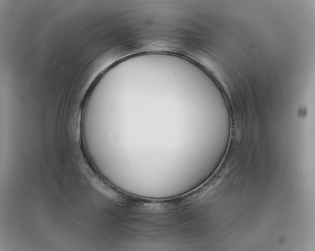 X0000096381227200802071506