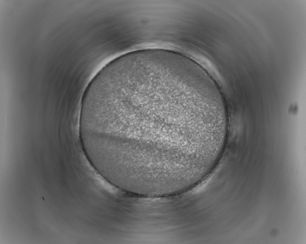 X0000096381228200802071506