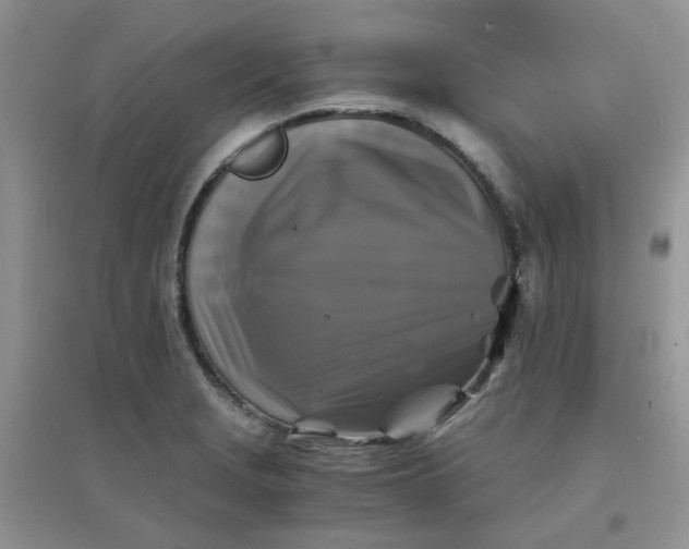 X0000096381229200802071506