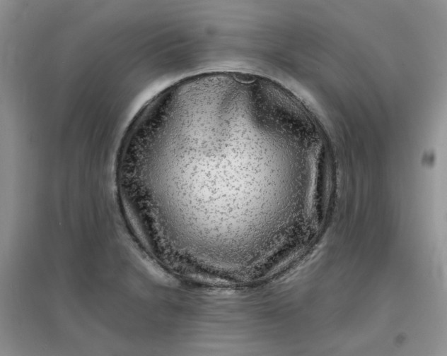 X0000096381230200802071506