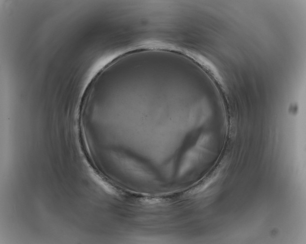 X0000096381231200802071506