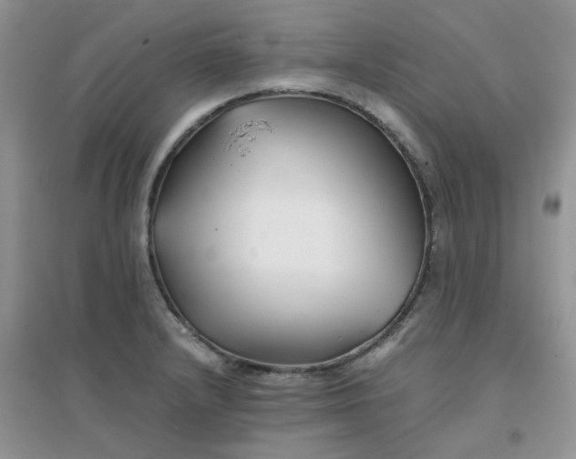 X0000096381232200802071506