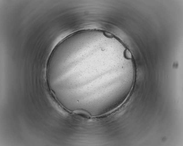 X0000096381234200802071506