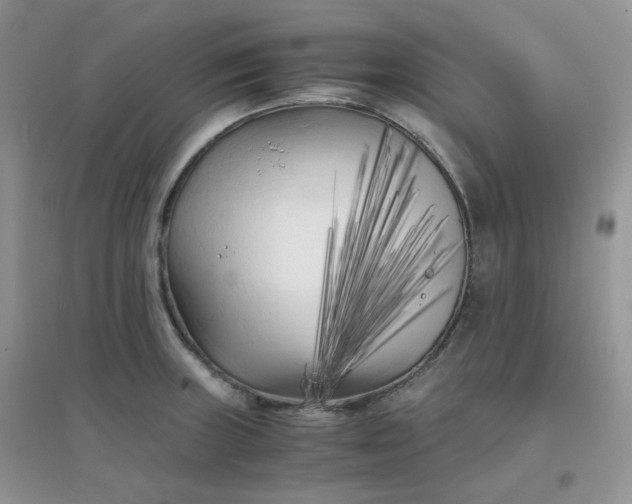 X0000096381235200802071506