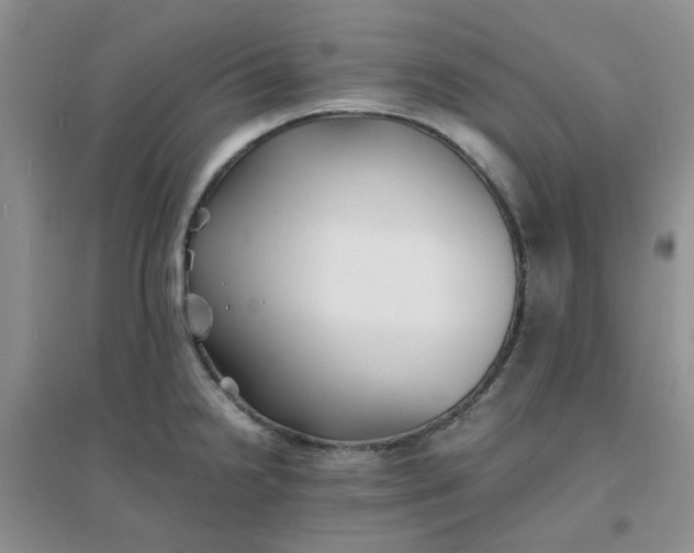 X0000096381238200802071506